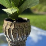 Keramični lonec Home Gardens 919.010.23